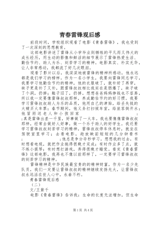 青春雷锋观后感