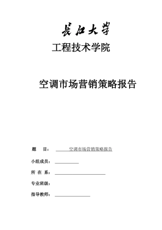 空调营销策略报告