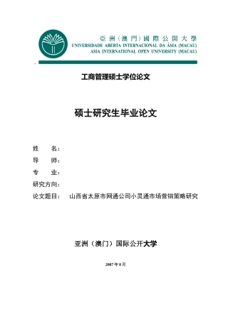 网通公司市场营销策略研究