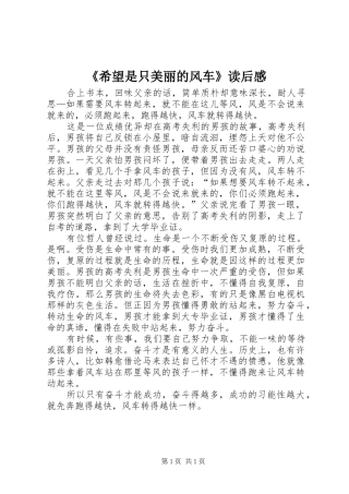 《希望是只美丽的风车》读后感