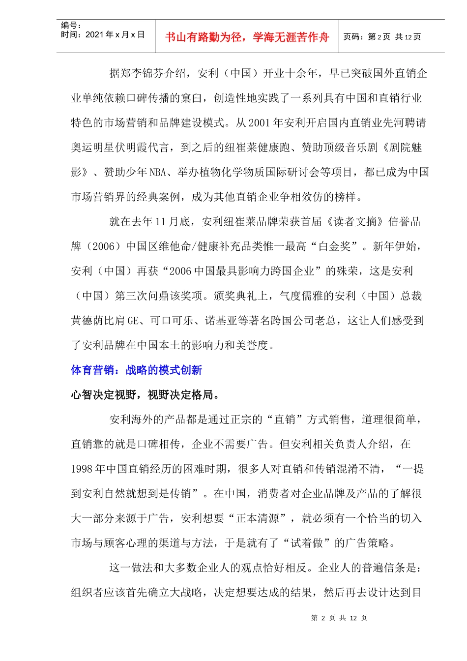 某某的品牌营销战略_第2页