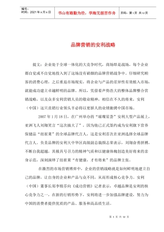某某的品牌营销战略