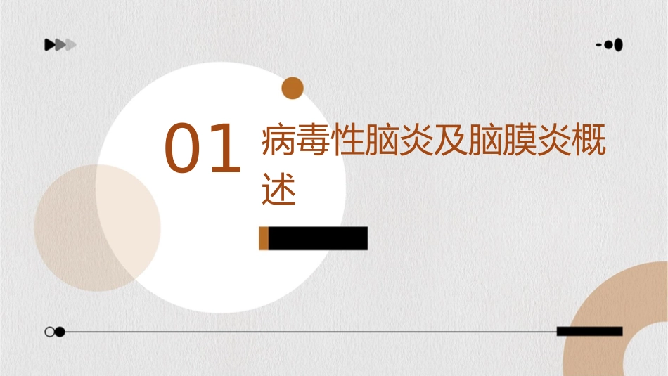 病毒性脑炎及脑膜炎护理课件_第3页