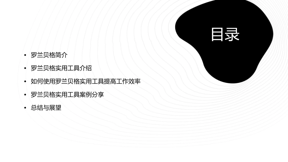 罗兰贝格素材(实用工具)课件_第2页