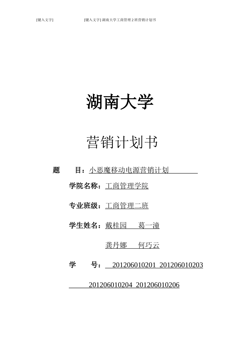 移动电源市场营销报告_第1页