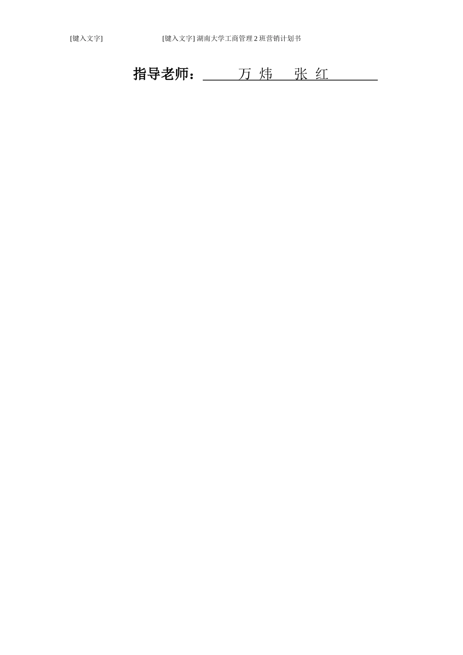 移动电源市场营销报告_第2页