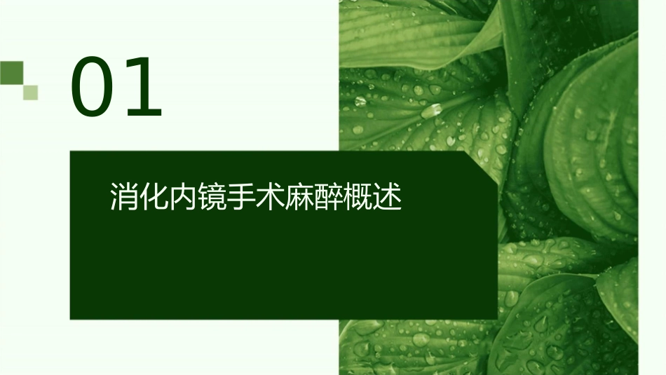 常见消化内镜手术麻醉管理护理课件_第3页