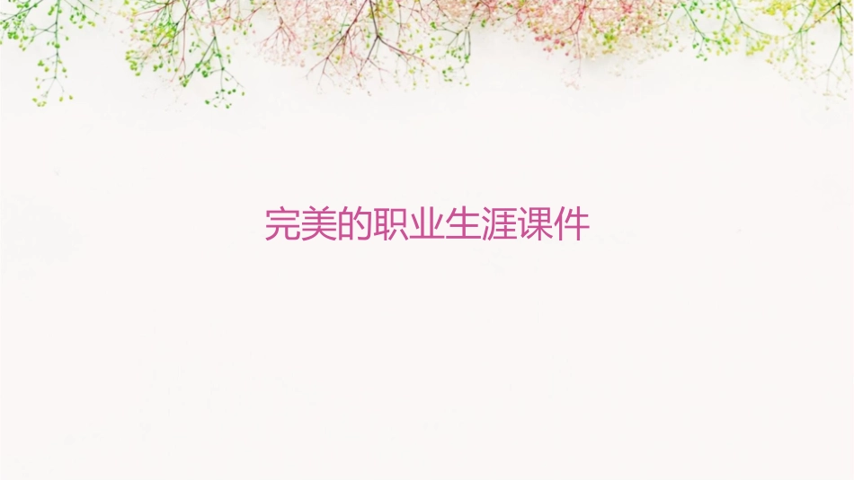 完美的职业生涯课件_第1页
