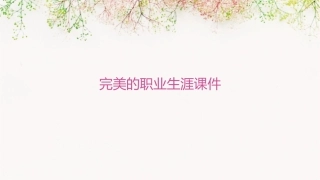完美的职业生涯课件