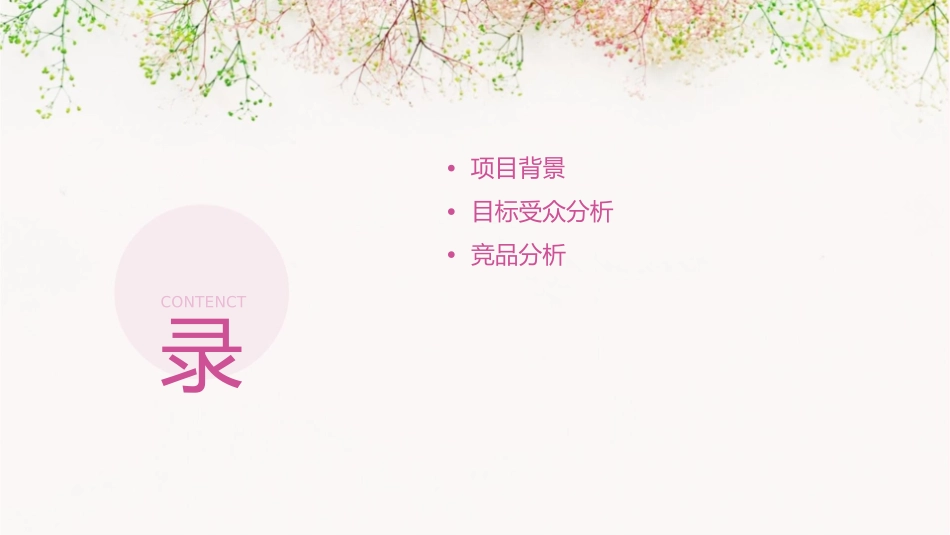 杭州阳明谷广告推广策略方案课件_第2页