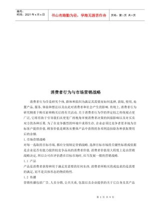 消费者行为与市场营销战略论述