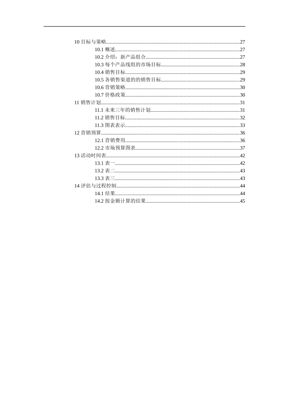 营销计划模版_第3页