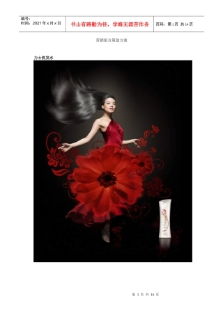 营销组合策划方案