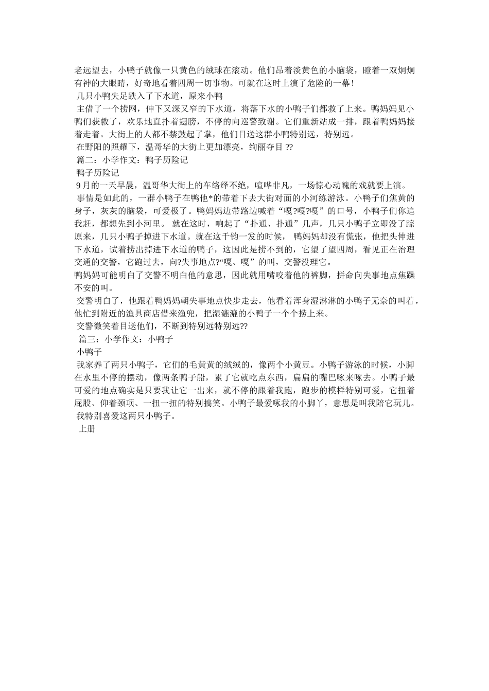 捉鸭子ۥ作文8篇精选 _第2页