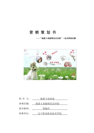 淘爱营销策划