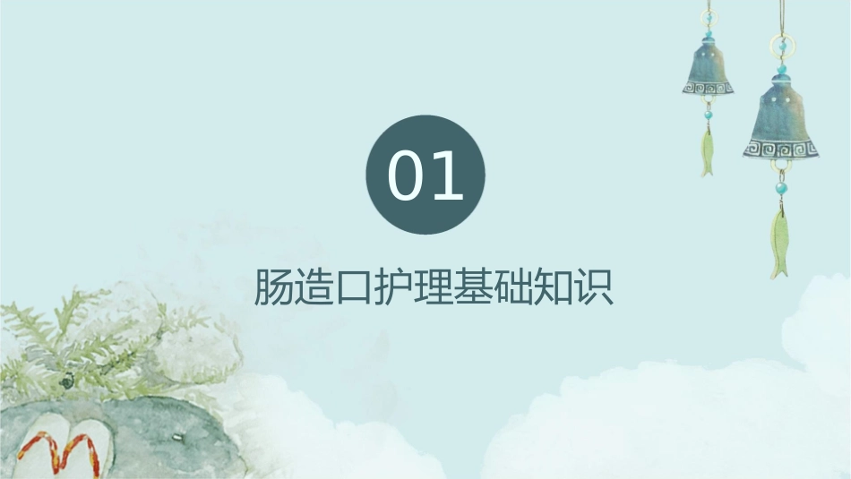 肠造口护理课件_第3页