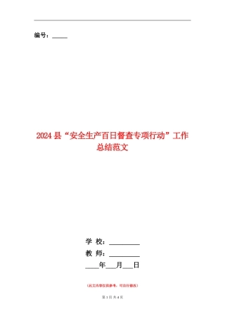 2024县“安全生产百日督查专项行动”工作总结范文