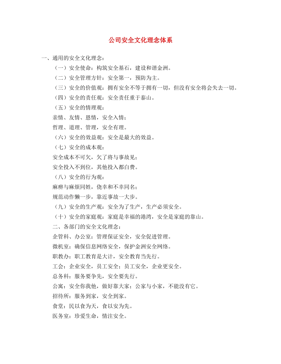 《安全文化》之公司安全文化理念体系 _第1页