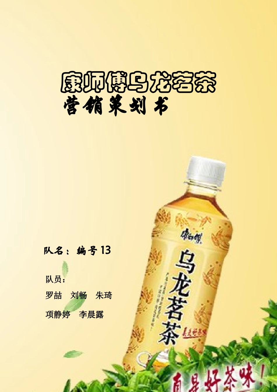 营销策划书9703569119_第1页