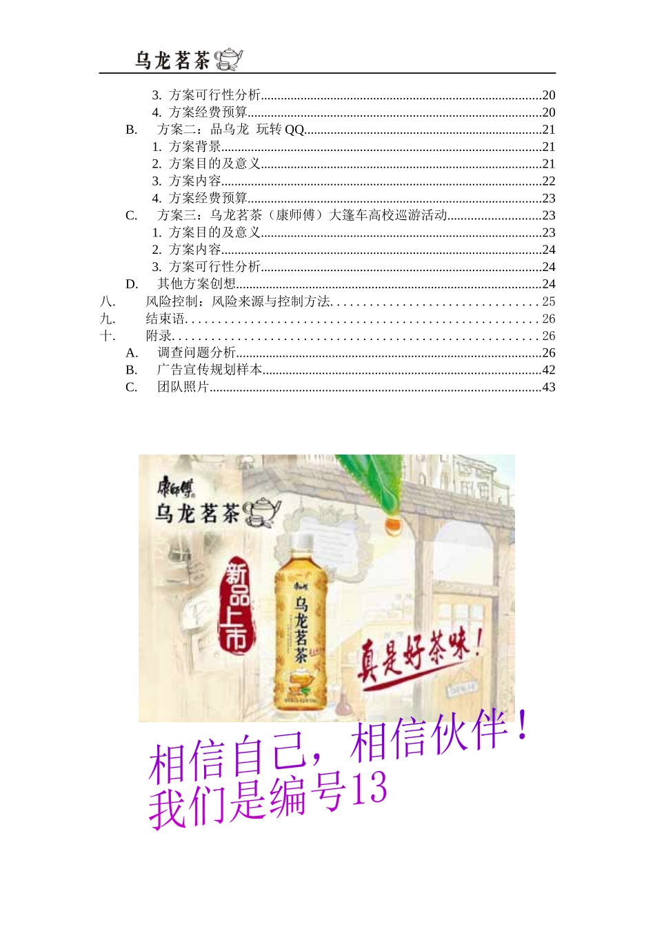 营销策划书9703569119_第3页