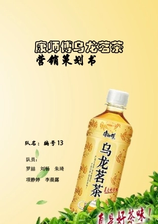 营销策划书9703569119