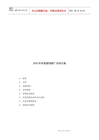某公司年度营销推广总体方案