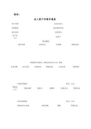 法人客户评级申请表