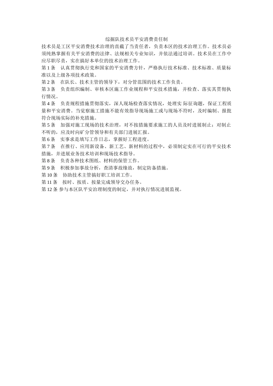 综掘队ۥ技术员安全生产责任制精选 _第1页