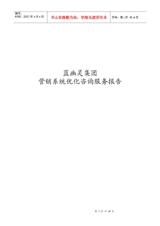 蓝幽灵营销系统优化咨询服务报告