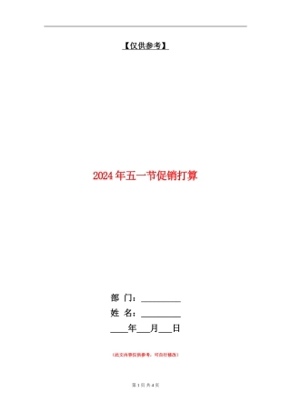 2024年五一节促销打算