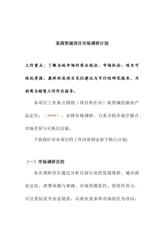 某商贸城项目市场调查计划