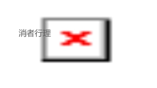 消费者行为理论课件