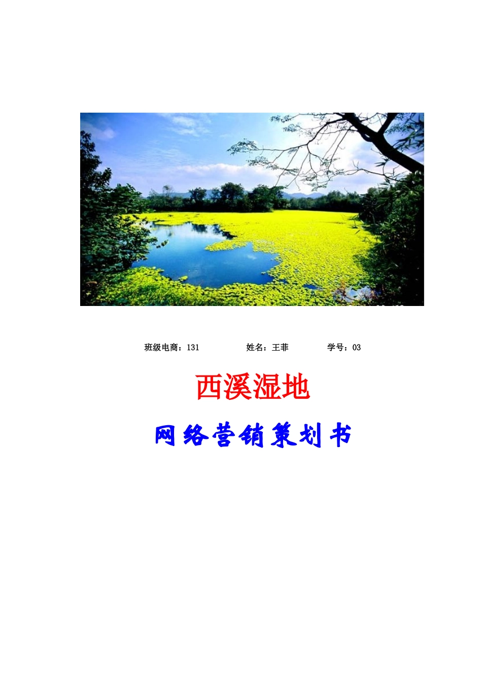 西溪湿地网络营销策划书_第1页