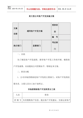 某大型公司客户开发实施方案