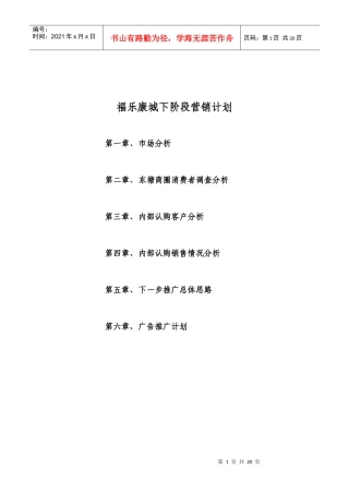 福乐康城营销报告
