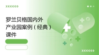罗兰贝格国内外产业园案例(经典)课件