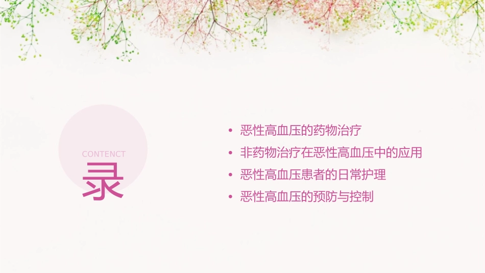 恶性高血压护理课件_第2页