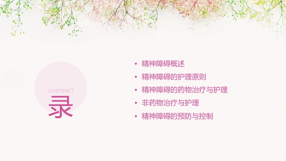 精神障碍基础知识护理课件_第2页