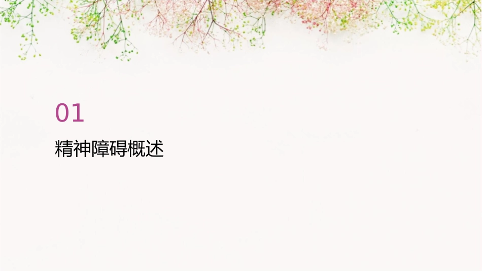 精神障碍基础知识护理课件_第3页