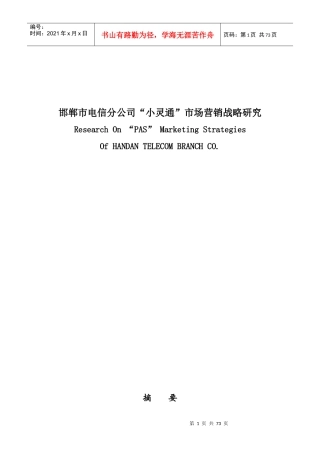 邯郸市电信小灵通市场营销战略研究报告