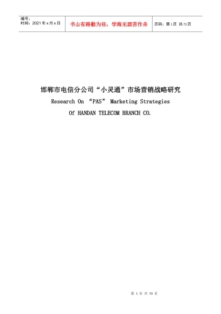 某市电信分公司小灵通市场营销战略研究