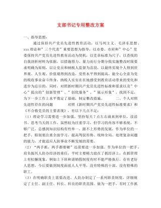 支部书记专用整改方案 