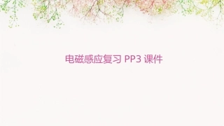 电磁感应复习pp3课件