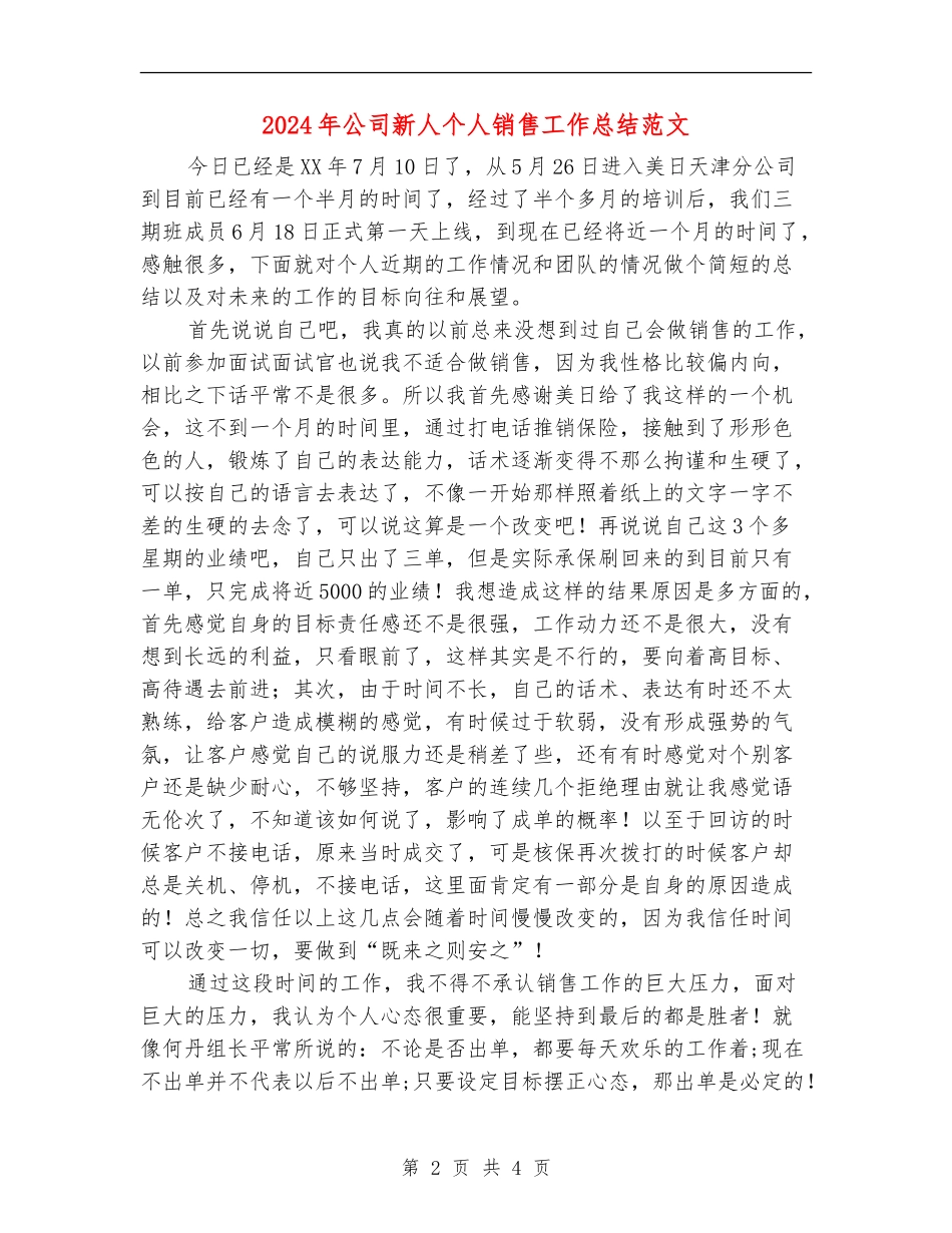 2024年公司新人个人销售工作总结范文_第2页