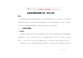 房地产行业某楼盘和营销方案排版