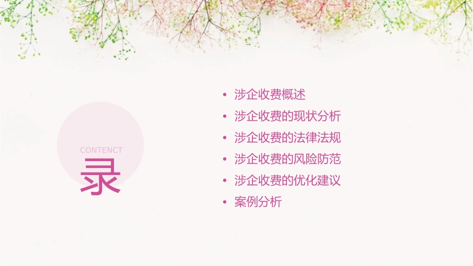 涉企收费讲课内容课件_第2页