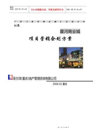 星河商业城地产项目营销企划方案