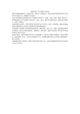 镇政府ۥ部门安全生产工作职责精选 