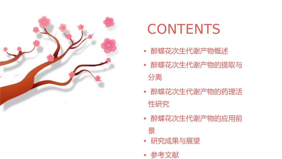 醉蝶花次生代谢产物研究毕业答辩护理课件_第2页