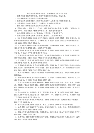 综合办ۥ公室分管安全监察、营销稽查副主任的安全职责精选 